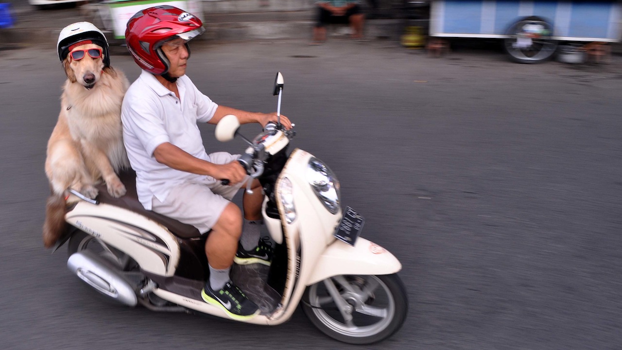 best pillion comfort bike
